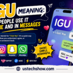 igu meaning